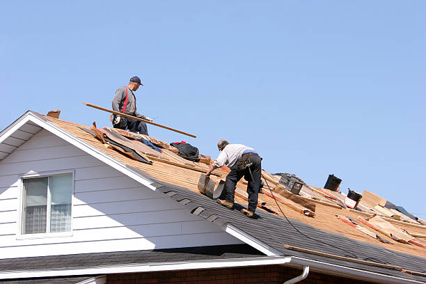 Professional Roofing services in Rogersville, TN